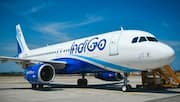 IndiGo shares surge 10%: What's behind today's rally?
