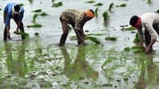 Centre extends PM-KISAN for 5 years with ₹3.15L crore outlay