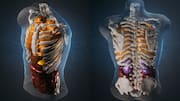 Midjourney pivots from AI art to body scans