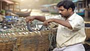 India gets EU approval for seafood exports