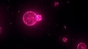 This world's first synthetic cell can grow and reproduce