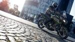 2019 Kawasaki Versys 650: At a glance