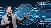 Musk accelerates 'Macrohard' plan with AI that writes software autonomously