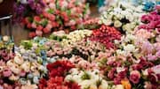5 must-visit flower markets in Paris