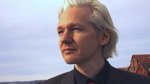 Assange cleared from sexual assault allegation Assange cleared from sexual assault allegation