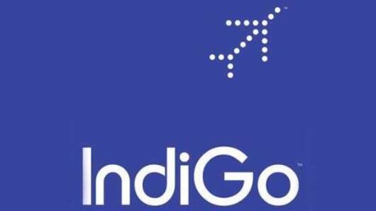 Indigo: From a newbie to aviation market leader