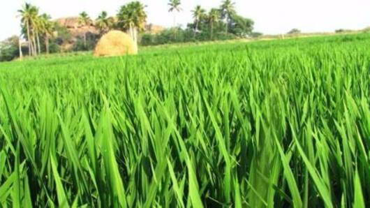 Modi government pushing its 'Kisan' forward