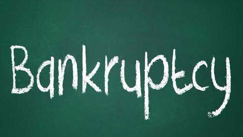 Govt publishes law panel's bankruptcy proposals Govt publishes law panel's bankruptcy proposals
