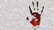 Peter Mukerjea charged with murder in Bora case