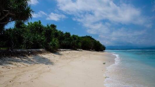Russians skipping Goa this year?
