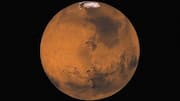 California biotech nonprofit Pioneer Labs unveils sPL.001 for Mars bioplastics