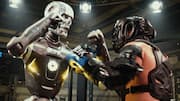 California orders Rek to stop human versus robot fights
