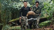 Robotic dog aids Ailaoshan researchers, films parasitic plant and gibbons