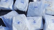 Uttar Pradesh police destroy 172,246kg narcotics worth 418cr, launch rally