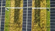 India's Union Minister Pralhad Joshi announces plan for agrivoltaic policy