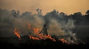 Punjab records season's worst day as 51 stubble fires