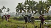 IMD issues orange alert for Kerala districts amid low pressure