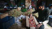 Unusual Himachal weather cuts apple output hikes Kashmiri apple prices