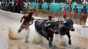 Mysuru Dasara hosts Kambala for 1st time at Sathagalli