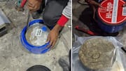 Delhi Customs intercepts Bangkok shipment of suspected hydroponic weed