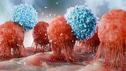 USC researchers produce potentially renewable cancer-fighting immune cells from GMPs