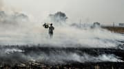 Farm fires rise again as Madhya Pradesh reports 354