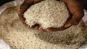 Karnataka seizes nearly 565 tons subsidized FCI rice worth ₹1.34cr