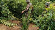 Suspected militant attack in Chassad, Manipur kills 1, injures 4