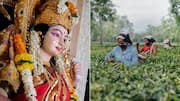 Assam gives 20% bonus to tea workers for Durga Puja