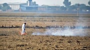 Punjab records 220 kharif farm fires, CAQM confirms 68 burns