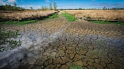 Bhandara farmer Rajendra Sapate allegedly dies by suicide after drought