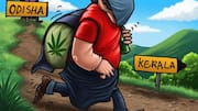 Bengaluru police seize 317kg ganja worth ₹3.17cr arrest 2 men