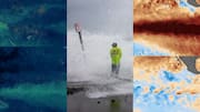NASA finds equatorial Pacific cerulean as El Nino reduces phytoplankton