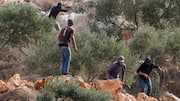 Masked Israeli settlers attack Palestinians during Abu Falah olive harvest