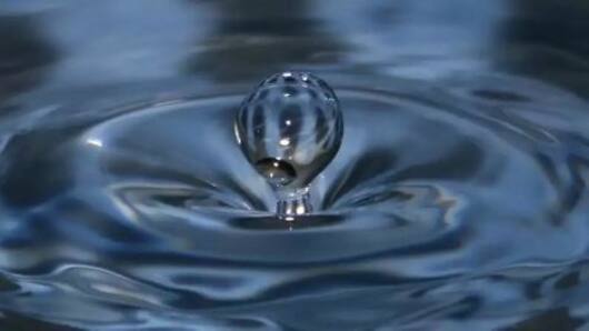 Crowd-sourced water conservation
