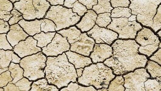India's ailing agricultural sector