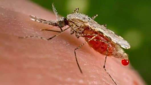 Eliminating malaria from India