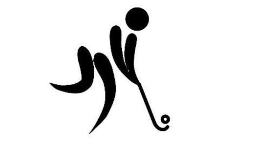 The South Asian Games 2016