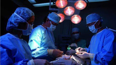 Maharashtra to formulate organ transportation policy Maharashtra to formulate organ transportation policy