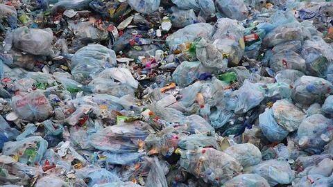 Maharashtra Govt tells HC why plastic ban was necessary Maharashtra Govt tells HC why plastic ban was necessary