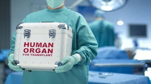 Machine capable of storing liver for 24-hours enters India Machine capable of storing liver for 24-hours enters India
