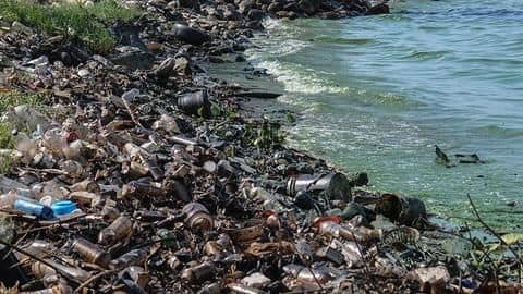 Plastic stored in cubes, other waste samples degraded with bacteria Plastic stored in cubes, other waste samples degraded with bacteria