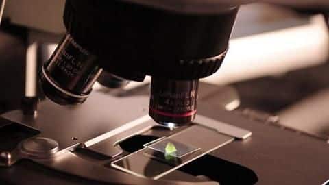 In 5-years, number of cases at Mumbai's Kalina forensic-lab doubles In 5-years, number of cases at Mumbai's Kalina forensic-lab doubles