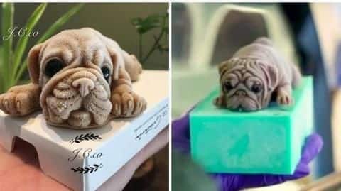 Creepy or Cute? Internet can't stop talking about puppy-shaped desserts Creepy or Cute? Internet can't stop talking about puppy-shaped desserts