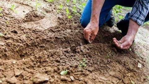 Trees shortlisted after extensive study and scientific research Trees shortlisted after extensive study and scientific research