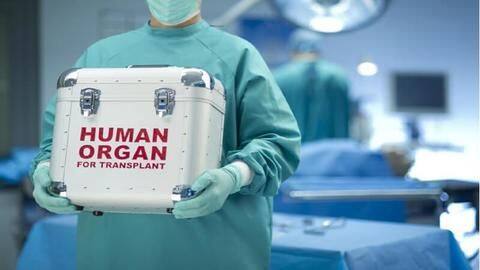 IISc team develops LifeBox for storing harvested-organs for longer times IISc team develops LifeBox for storing harvested-organs for longer times