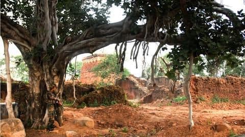 Did you know? Delhi has less than one tree per-person Did you know? Delhi has less than one tree per-person