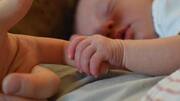 Mother's Day celebration: Delhi Zoo to open dedicated breastfeeding room