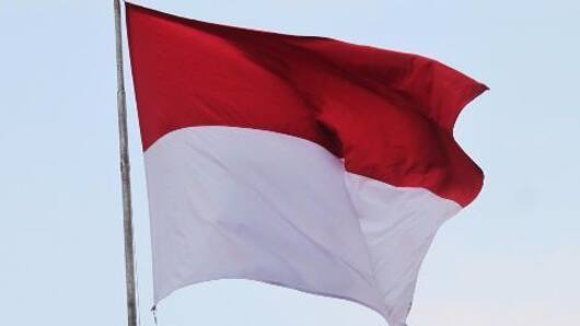 The Indonesian mass killings of 1965-66