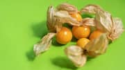 Why ground cherries are a nutritional powerhouse